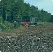 Расчистка полос отвода