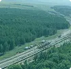 Расчистка трасс газо- и нефтепроводов